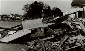 2022年紀錄片行業發展趨勢及市場未來走向調查分析