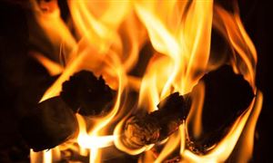 木炭行業市場調研 木炭行業市場經濟分析