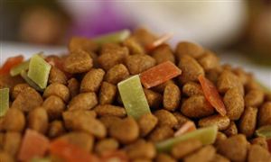 中國飼料行業市場經濟如何?飼料行業市場現狀及發展前景分析