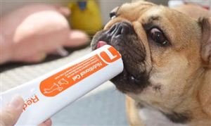 寵物保健品行業市場調研 互聯網技術推動行業進步