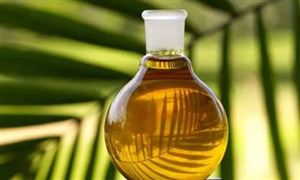 中國生物柴油行業現狀及發展趨勢分析