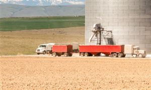 中國糧食倉儲條件總體情況如何 全球糧食市場和中國糧食安全發展分析