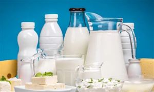 乳制品生產企業要進一步加強奶源基地建設 乳制品市場前景分析