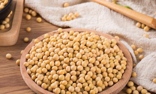 2023年大豆深加工行業發展趨勢分析