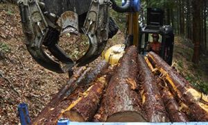 2022林業(yè)機(jī)械行業(yè)前景及現(xiàn)狀分析