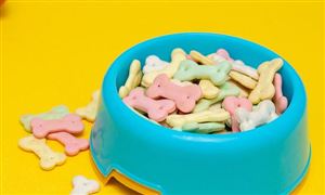 寵物食品行業內企業經營模式怎樣?寵物食品行業市場規模分析