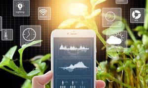 智慧農(nóng)業(yè)調(diào)研報告 智慧農(nóng)業(yè)發(fā)展前景如何2022