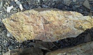 國內稀土價格分析 稀土行業發展前景分析