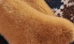 2022年人造毛皮行業(yè)現(xiàn)狀及發(fā)展前景分析