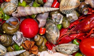 水產(chǎn)飼料產(chǎn)業(yè)產(chǎn)量需求及進出口情況分析