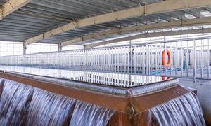 水凈化產業市場規模與發展趨勢研究