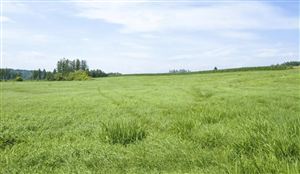 2022全球除草劑市場份額與價格發展趨勢