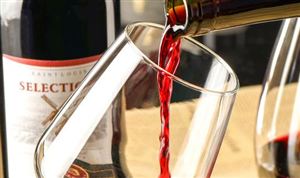 中國葡萄酒市場潛力巨大 葡萄酒行業(yè)市場調研