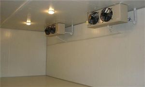 未來我國冷庫技術的發展分析 全國冷庫總容量分析