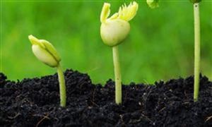 化肥行業市場調研2022