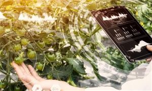 助力上合組織國(guó)家農(nóng)業(yè)現(xiàn)代化 現(xiàn)代農(nóng)業(yè)發(fā)展現(xiàn)狀及“十四五”規(guī)劃分析