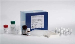 診斷試劑市場調研 診斷試劑行業市場規模