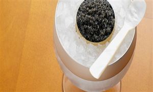 中國已成為世界魚子醬之都 魚子醬市場調查分析