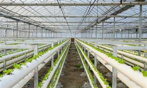 有機農業市場需求 有機農業行業市場發展潛力分析