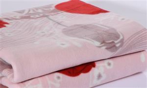 電熱毯市場消費需求 電熱毯市場發展趨勢分析