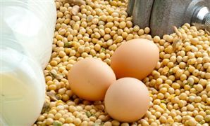 大豆蛋白行業市場需求 大豆蛋白行業應用前景分析