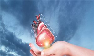 人工心臟的市場需求量及未來市場發(fā)展前景分析