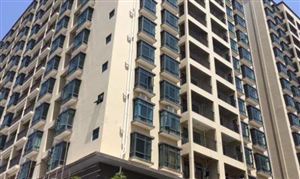 深圳增加居住用地供應(yīng) 住房租賃產(chǎn)業(yè)發(fā)展現(xiàn)狀及需求分析