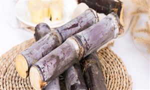 中國甘蔗行業全景分析 甘蔗行業發展前景趨勢預測2023