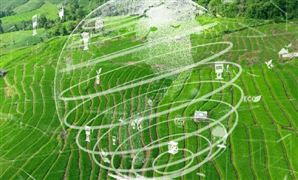 可降解塑料行業(yè)現(xiàn)狀及市場(chǎng)規(guī)模分析