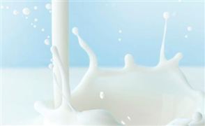 2022代餐奶昔行業分析 中國代餐奶昔行業市場深度調研