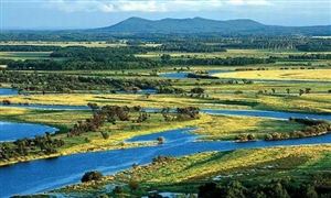 環(huán)境工程行業(yè)發(fā)展現(xiàn)狀如何 環(huán)境工程行業(yè)分析2022