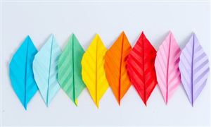 雙減政策后的教育新時代 美育成了業內外關注的熱門領域  美育行業現狀?