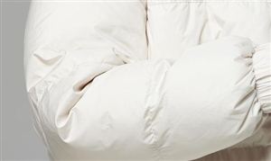 波司登回應(yīng)先漲后跌僅便宜0.28元 波司登市值蒸發(fā)250億 羽絨服市場(chǎng)分析