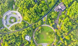 中國綠化苗木行業(yè)調(diào)研  2022綠化苗木行業(yè)市場現(xiàn)狀分析