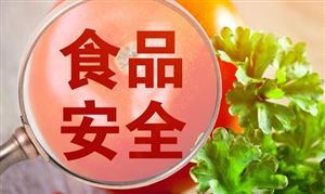 公開征求意見 事關食品添加劑 食品安全檢測行業市場深度分析及發展規劃咨詢綜合