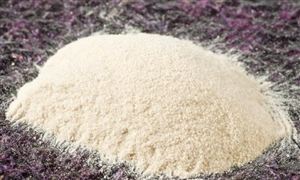 我國膠粘劑市場呈現有哪些特點?環保和綠色是未來膠粘劑發展的重要方向 環保膠黏劑行業發展前景分析