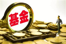 股票型ETF規模顯著增長 公募基金新品升溫態勢明顯