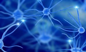 組織工程行業市場深度分析  行業從基礎邁向臨床應用的廣闊前景