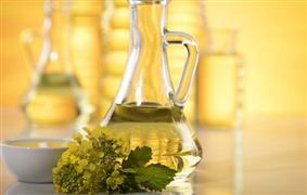 中國油菜籽行業現狀 油菜籽行業發展趨勢分析