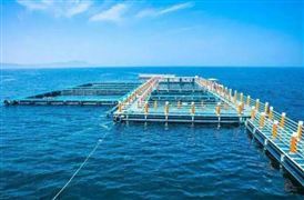 年產(chǎn)值超100億元 最美灘涂 這一縣收獲“蔚藍(lán)名片” 中國海洋經(jīng)濟(jì)全景分析