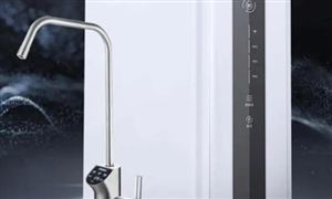 凈水器產品入市調研 凈水器產品消費需求及市場競爭