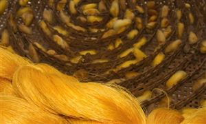 蠶養(yǎng)殖及加工行業(yè)市場調(diào)研及發(fā)展前景分析