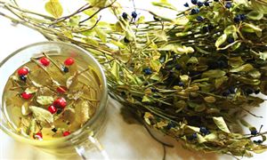 菜籽油行業(yè)深度調(diào)研與發(fā)展趨勢分析2023