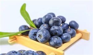 2022行業研究分析 水果種植行業需求分析