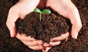 2022年全國肥料抽查合格率為87.6% 微生物肥料行業市場分析