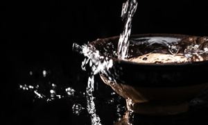 節(jié)前白酒市場銷售終于回暖 白酒行業(yè)市場分析2023