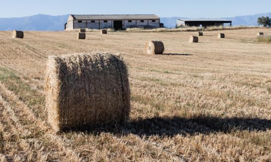 2023年農(nóng)業(yè)用具行業(yè)發(fā)展趨勢預(yù)測 