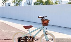 2023兒童單車行業(yè)市場深度調(diào)研及投資策略預測