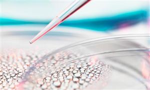 干細胞行業(yè)市場運行態(tài)勢 干細胞市場未來趨勢預(yù)測