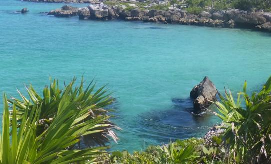 2023生態(tài)主題公園行業(yè)全景調(diào)研與發(fā)展戰(zhàn)略研究咨詢